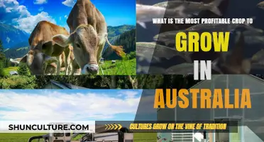 Lucrative Australian Crops: Maximizing Farm Profits