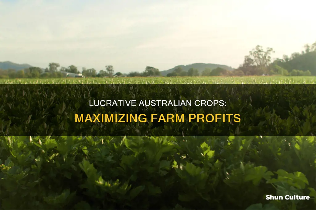 what is the most profitable crop to grow in australia