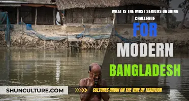 Bangladesh's Critical Struggle: Climate Change, Poverty, and Urbanization Pressures