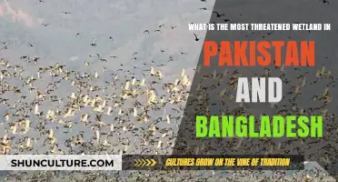 Threatened Wetlands: Pakistan and Bangladesh's Most Endangered Ecosystems Revealed