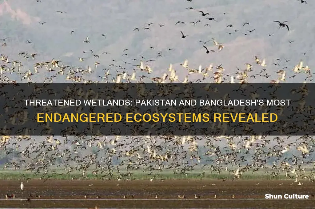 what is the most threatened wetland in pakistan and bangladesh