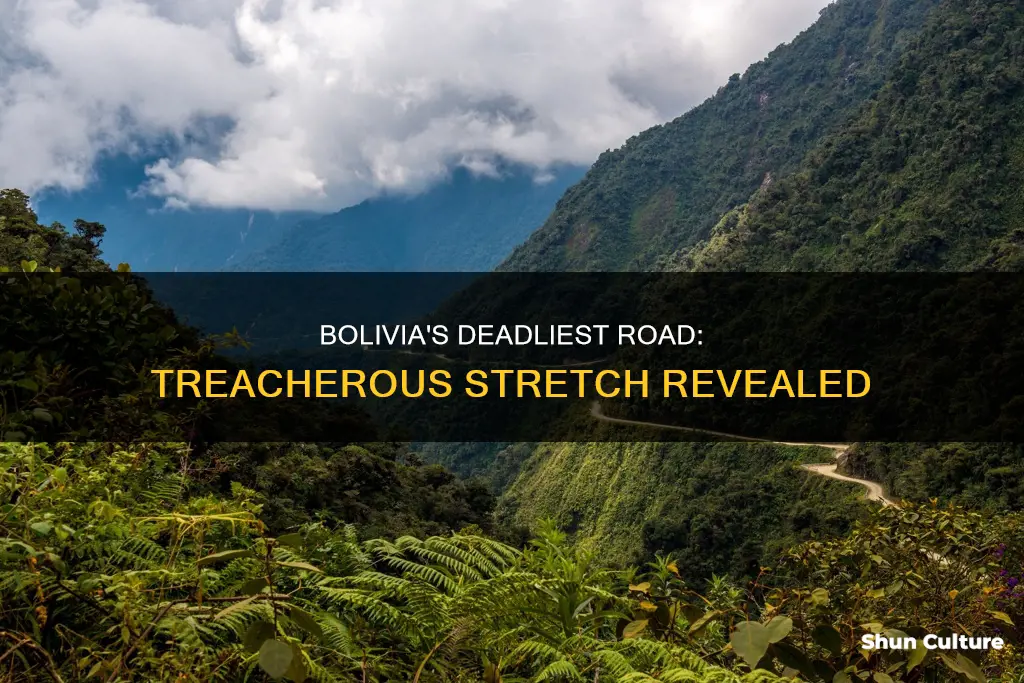 what is the most treacherous stretch of road in bolivia