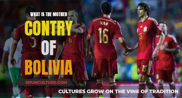 Bolivia's Mother Country: A Historical Perspective