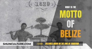 The Pride of Belize: Unraveling the Country's Motto and Heritage