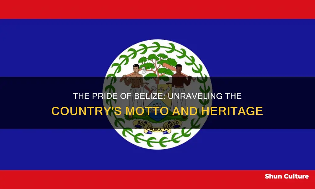 what is the motto of belize