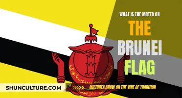 Brunei's Flag: Motto and Meaning Explained