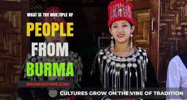 Exploring the Rich Diversity: Multiples of People from Burma
