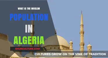 Algeria's Muslim Population: Demographics, Culture, and Religious Significance