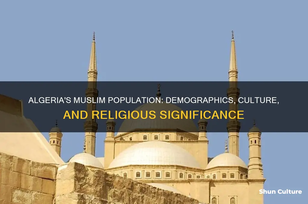 what is the muslim population in algeria