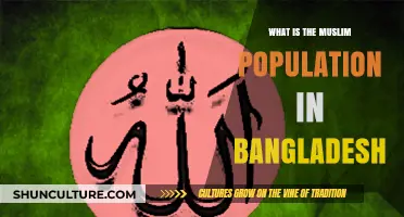 Exploring Bangladesh's Muslim Population: Demographics and Cultural Insights