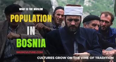 Bosnia's Muslim Population: Demographics, History, and Cultural Significance