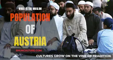 Austria's Muslim Population: A Demographic Overview