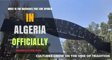 Official Languages of Algeria: Exploring the Country's Linguistic Diversity