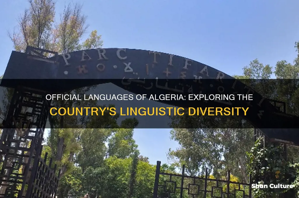 what is the naguages that are spoken in algeria officially