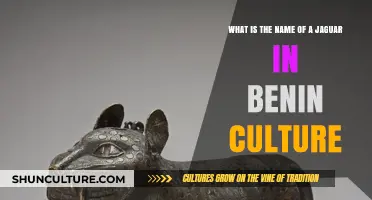 Exploring the Majestic Jaguar's Name in Benin Culture