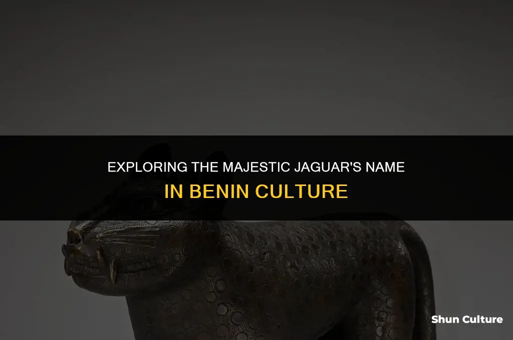 what is the name of a jaguar in benin culture