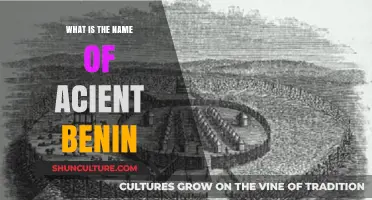 Unveiling the Ancient Kingdom of Benin: A Historical Perspective