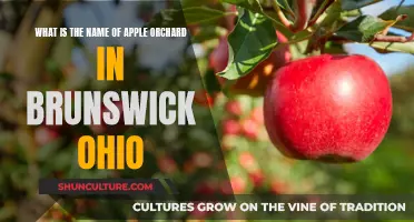 Apple Orchard in Brunswick: Name and Details