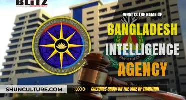 Unveiling Bangladesh's Secret Service: The Name of Its Intelligence Agency