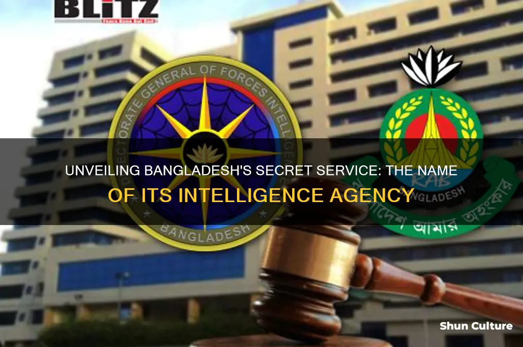 what is the name of bangladesh intelligence agency
