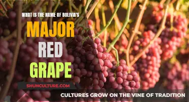 Unveiling Bolivia's Renowned Red Grape: A Tasty Secret