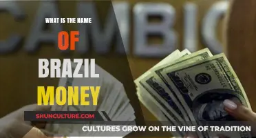 Discovering Brazil's Currency: The Name and Value of Its Money