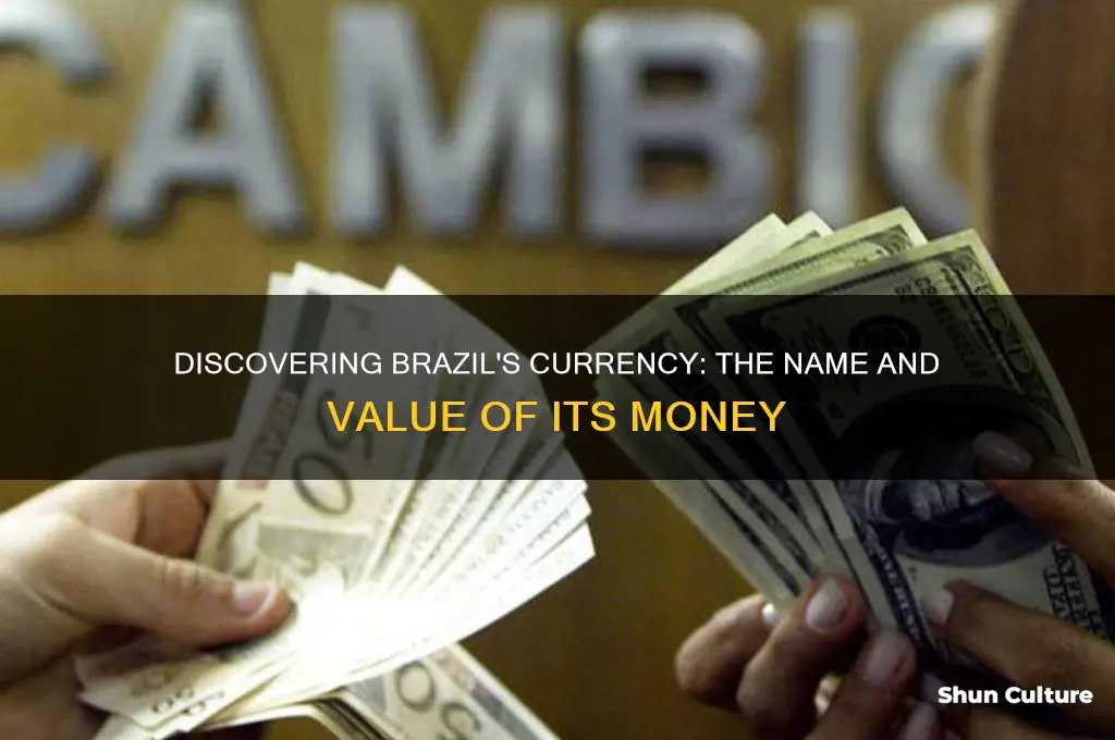 what is the name of brazil money
