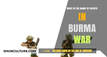 Unveiling the Forgotten Heroes: Scouts of the Burma War