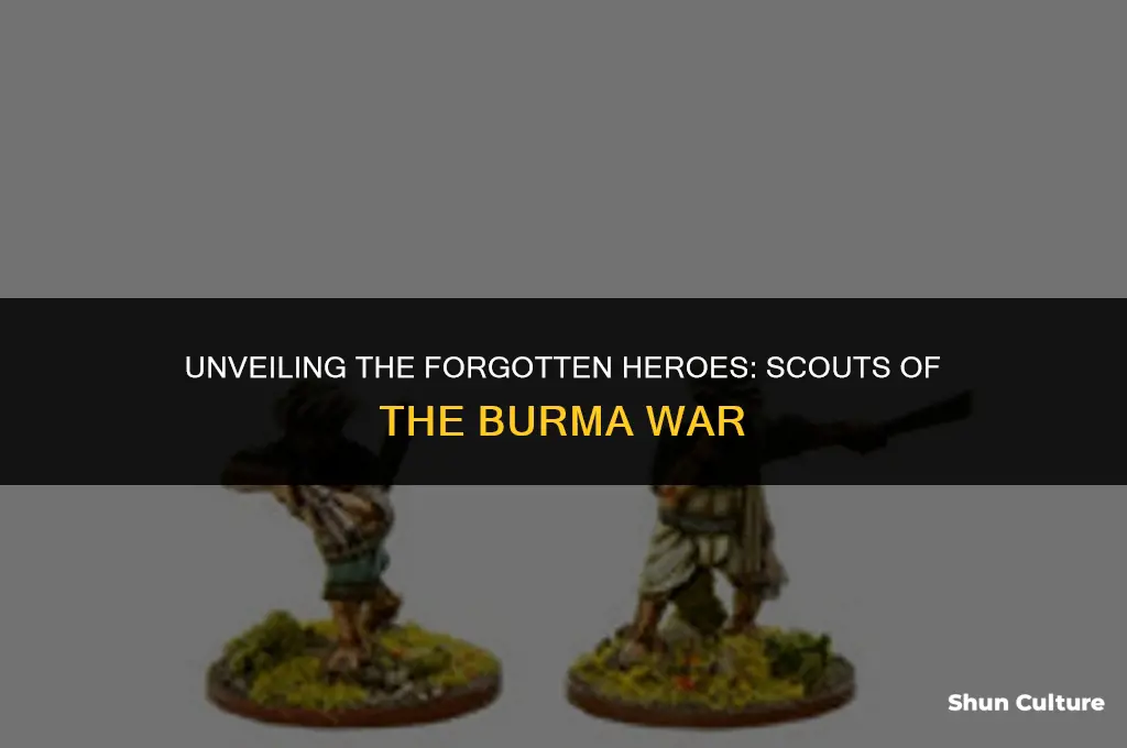 what is the name of scouts in burma war