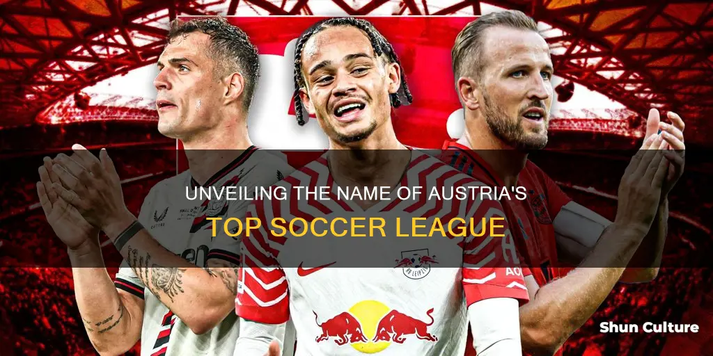 what is the name of the austrian soccer league