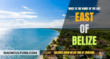 The Bay of Amatique: A Tropical Paradise East of Belize