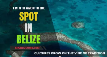 The Blue Hole Mystery: Unveiling Belize's Marine Marvel