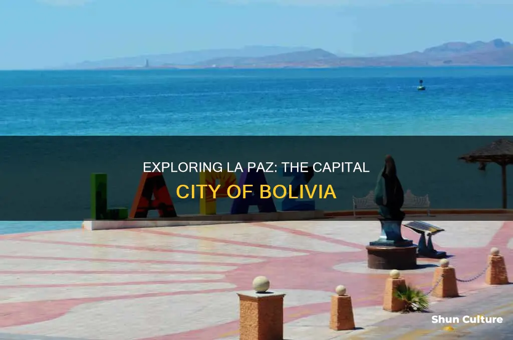 what is the name of the capital city of bolivia