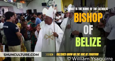 Who Is the Catholic Bishop of Belize?