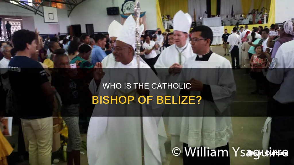 what is the name of the catholic bishop of belize