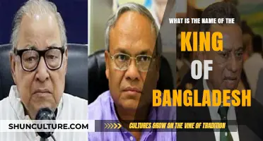 Unveiling Bangladesh's Leadership: Understanding the Nation's Political Structure