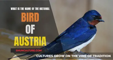 Austria's National Bird: Unveiling the Symbol of the Alps