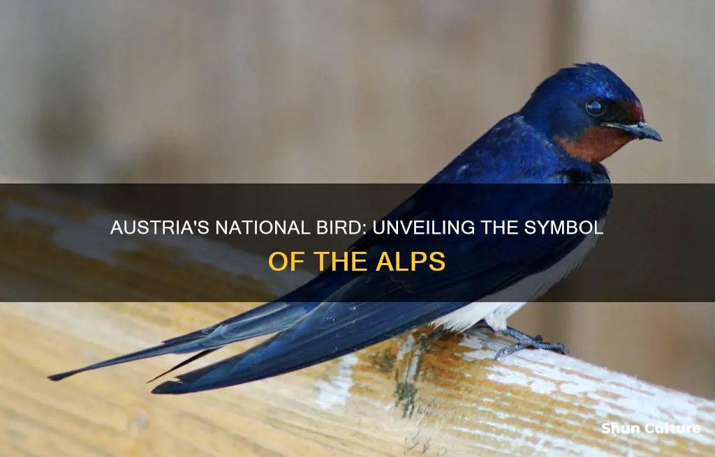 what is the name of the national bird of austria