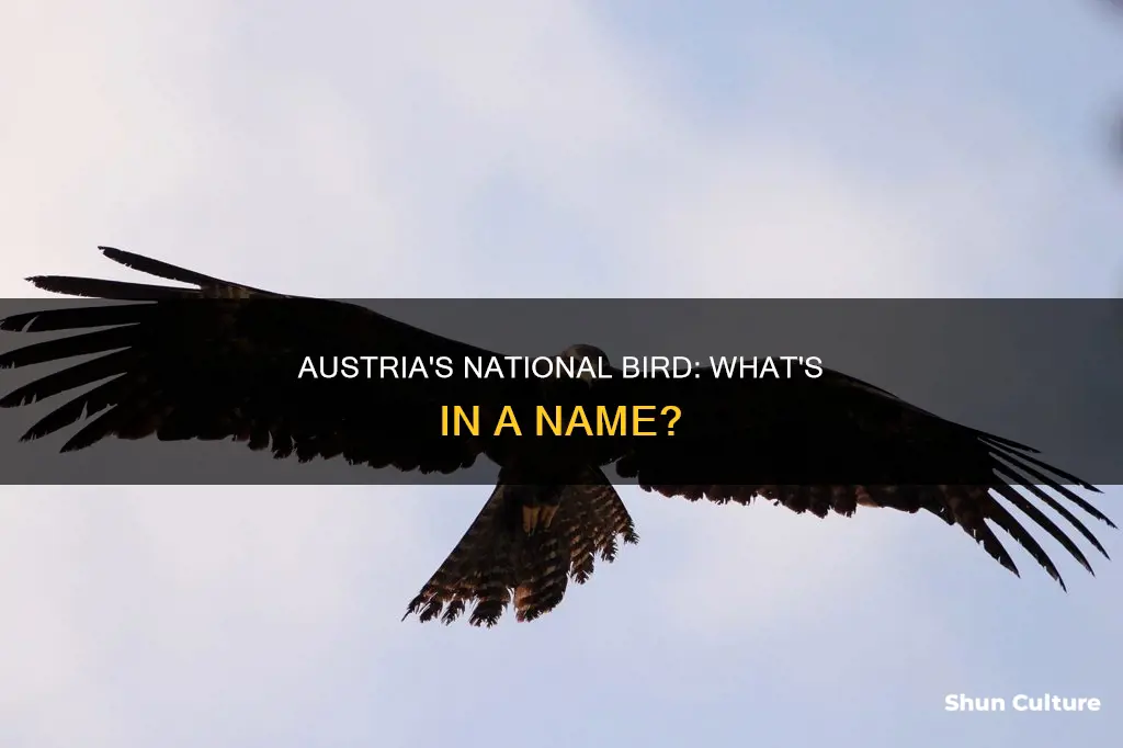 what is the name of the national bird of austria