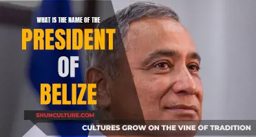 Who's at the Helm in Belize? Unraveling the Presidency Mystery