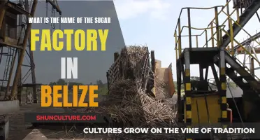 The Sweet Secrets of Belize: Uncovering the Sugar Factory's Legacy