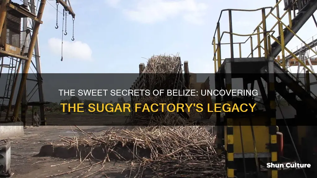 what is the name of the sugar factory in belize