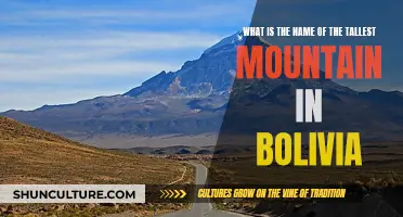 Exploring Bolivia's Tallest Peak: A Mountainous Adventure