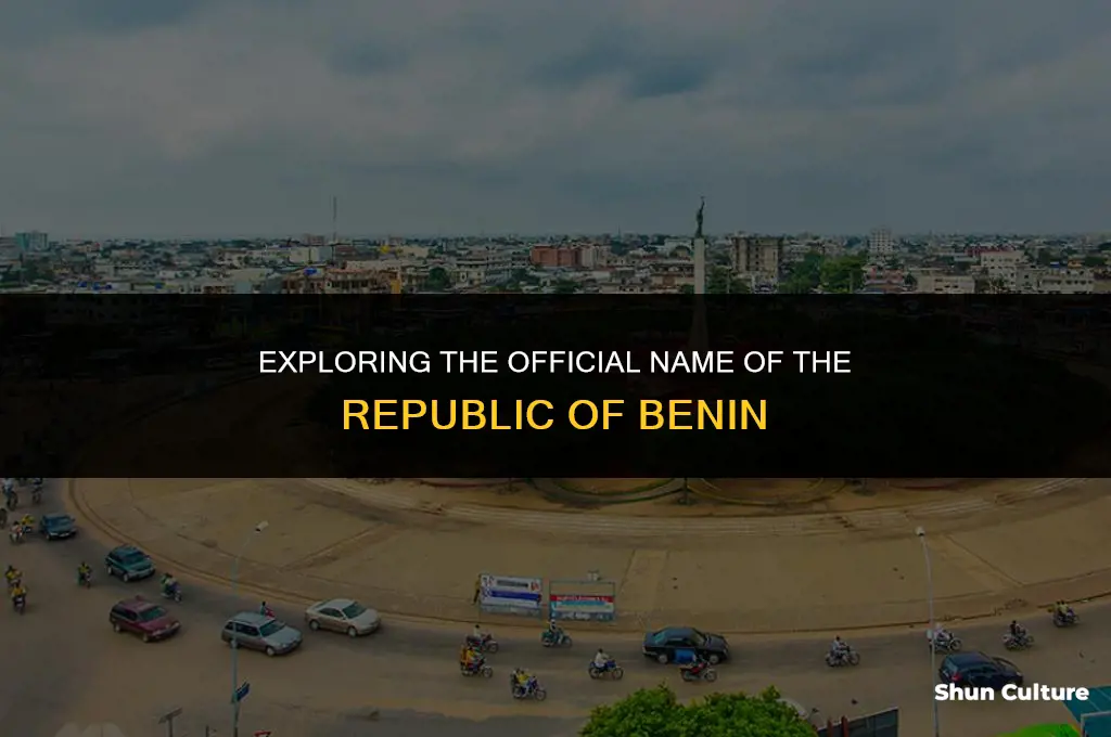 what is the name of thef benin republic