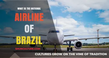 Discovering Brazil's National Airline: A Comprehensive Guide to Its History