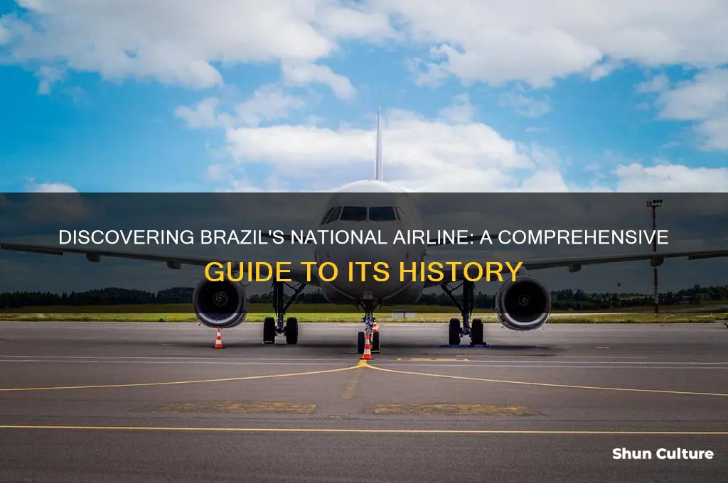 what is the national airline of brazil