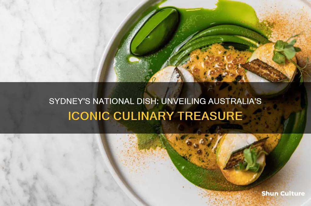 what is the national aish of sydney australia