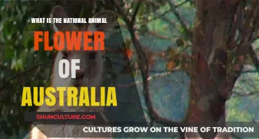 Australian Icons: Animal and Floral Emblems