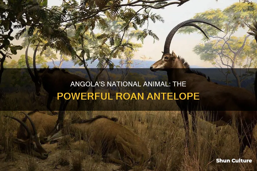 what is the national animal of angola