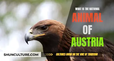 Unveiling Austria's National Symbol: The Majestic Golden Eagle